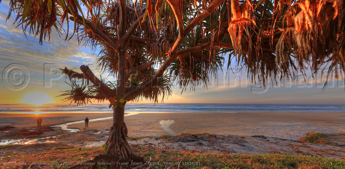 Peter Bellingham Photography Pandanus Sunrise - Fraser Island - QLD T (PB5D 00 51A1826)